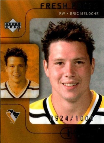 #147 Eric Meloche - Pittsburgh Penguins - 2001-02 Upper Deck Ice Hockey