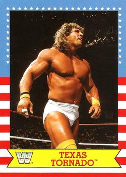 #29 Texas Tornado - 2017 Topps WWE Heritage - SummerSlam All-Stars Wrestling
