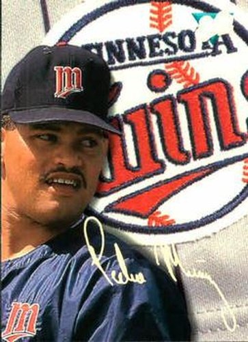 #166 Pedro Munoz - Minnesota Twins - 1993 Studio Baseball