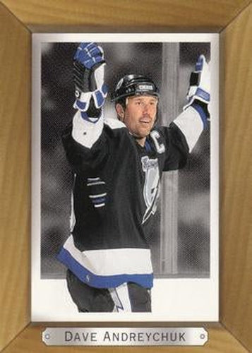 #172 Dave Andreychuk - Tampa Bay Lightning - 2003-04 Upper Deck Beehive Hockey