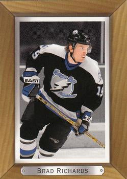 #176 Brad Richards - Tampa Bay Lightning - 2003-04 Upper Deck Beehive Hockey