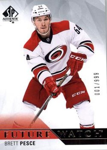 #207 Brett Pesce - Carolina Hurricanes - 2015-16 SP Authentic Hockey