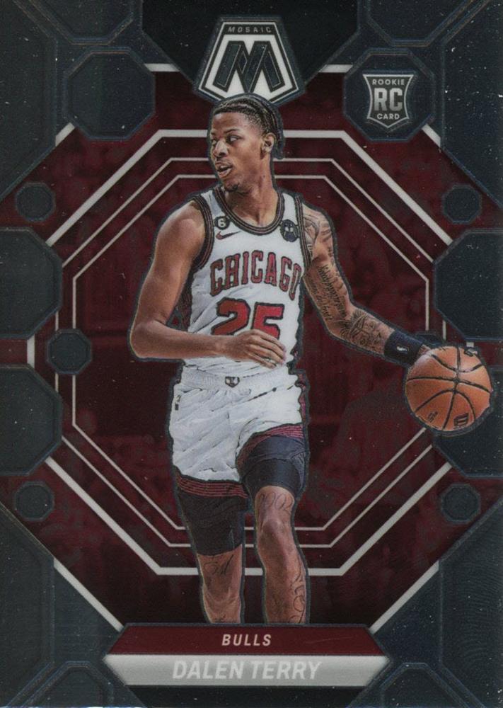 #209 Dalen Terry - Chicago Bulls - 2022-23 Panini Mosaic Basketball