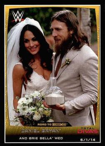 #20 Daniel Bryan / Brie Bella - 2015 Topps WWE Road to Wrestlemania Wrestling