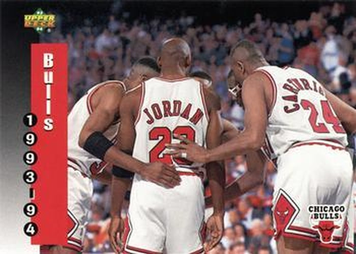 #213 Chicago Bulls - Chicago Bulls - 1993-94 Upper Deck Basketball