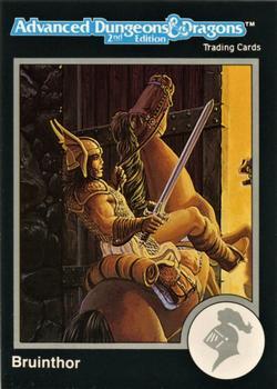 #228 Bruinthor - 1991 TSR Advanced Dungeons & Dragons - Silver