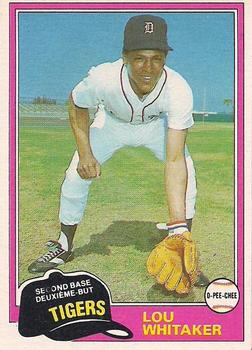 #234 Lou Whitaker - Detroit Tigers - 1981 O-Pee-Chee - Gray Back Baseball