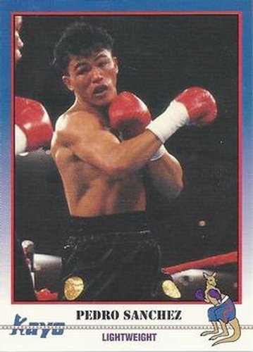 #239 Pedro Sanchez - 1991 Kayo Boxing
