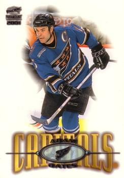#248 Adam Oates - Washington Capitals - 2000-01 Pacific Paramount Hockey
