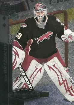 #107 Ilya Bryzgalov - Phoenix Coyotes - 2010-11 Upper Deck Black Diamond Hockey