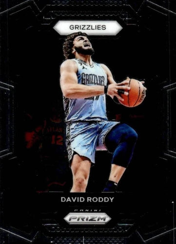 #267 David Roddy - Memphis Grizzlies - 2023-24 Panini Prizm Basketball