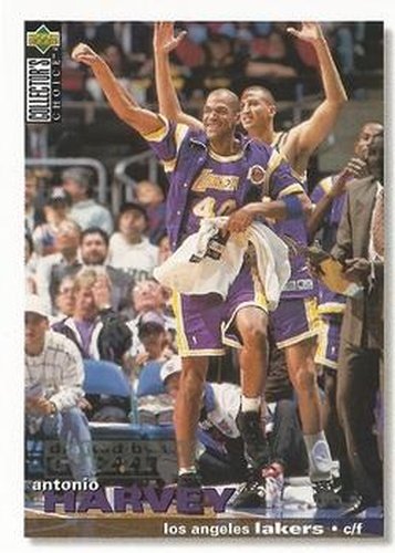 #29 Antonio Harvey - Vancouver Grizzlies - 1995-96 Collector's Choice Basketball
