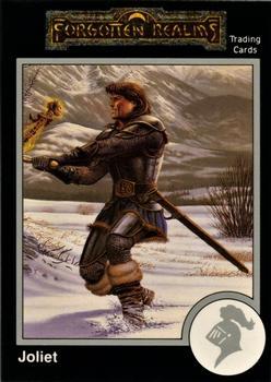 #317 Joliet - 1991 TSR Advanced Dungeons & Dragons - Silver