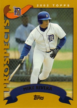#325 Mike Rivera - Detroit Tigers - 2002 Topps Baseball