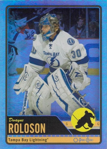 #348 Dwayne Roloson - Tampa Bay Lightning - 2012-13 O-Pee-Chee - Rainbow Hockey