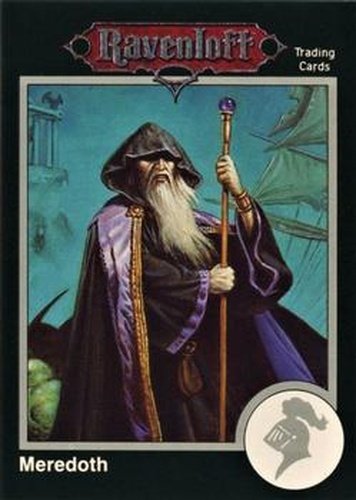 #381 Meredoth - 1991 TSR Advanced Dungeons & Dragons - Silver