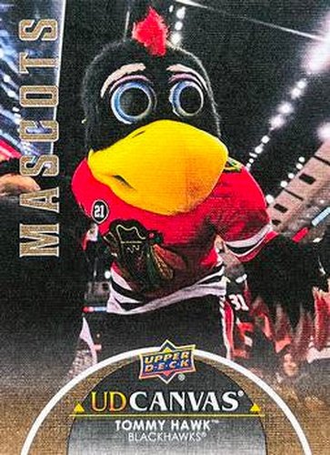#C397 Tommy Hawk - Chicago Blackhawks - 2021-22 Upper Deck - UD Canvas Hockey