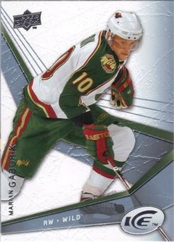 #49 Marian Gaborik - Minnesota Wild - 2008-09 Upper Deck Ice Hockey