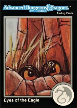 #524 Eyes of the Eagle - 1991 TSR Advanced Dungeons & Dragons - Silver