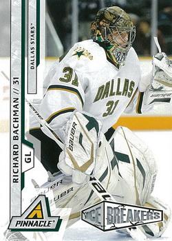 #229 Richard Bachman - Dallas Stars - 2010-11 Panini Pinnacle Hockey