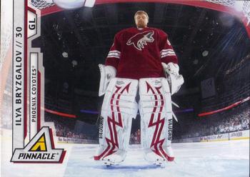 #53 Ilya Bryzgalov - Phoenix Coyotes - 2010-11 Panini Pinnacle Hockey