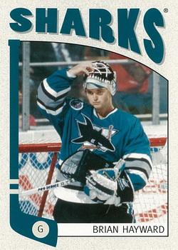 #298 Brian Hayward - San Jose Sharks - 2004-05 In The Game Franchises Hockey