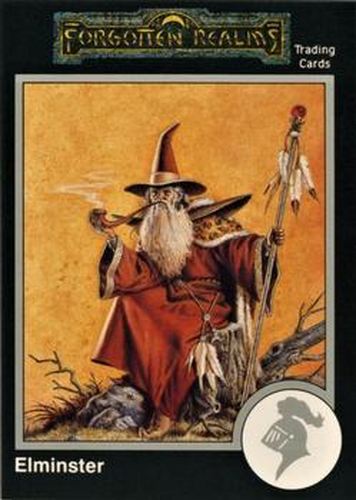 #600 Elminster - 1991 TSR Advanced Dungeons & Dragons - Silver