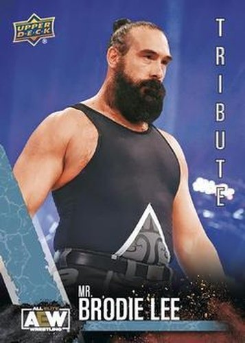 #60 Mr. Brodie Lee - 2021 Upper Deck AEW Wrestling