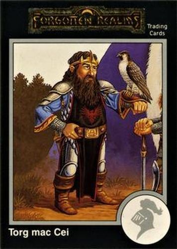 #656 Torg mac Cei, Ironlord of Earthfast - 1991 TSR Advanced Dungeons & Dragons - Silver