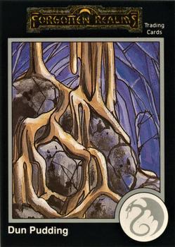 #664 Dun Pudding - 1991 TSR Advanced Dungeons & Dragons - Silver