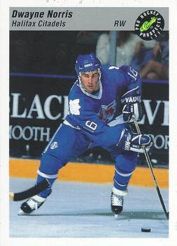 #66 Dwayne Norris - Halifax Citadels - 1993 Classic Pro Prospects Hockey