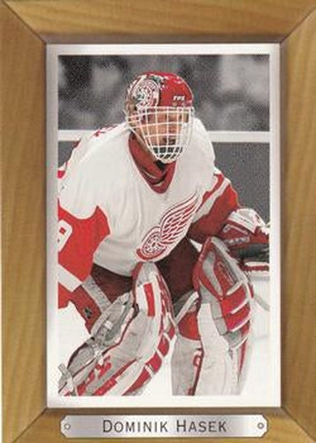 #73 Dominik Hasek - Detroit Red Wings - 2003-04 Upper Deck Beehive Hockey