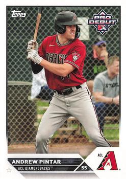 #PD-75 Andrew Pintar - ACL Diamondbacks - 2023 Topps Pro Debut Baseball