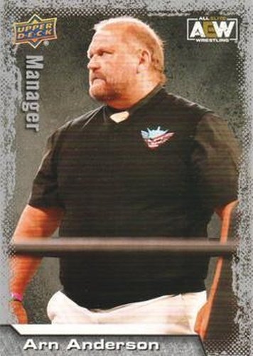 #95 Arn Anderson - 2022 Upper Deck AEW Wrestling
