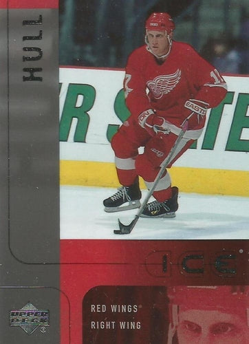 #95 Brett Hull - Detroit Red Wings - 2001-02 Upper Deck Ice Hockey