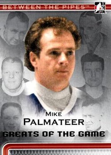 #97 Mike Palmateer - Toronto Maple Leafs - 2006-07 In The Game Between The Pipes Hockey