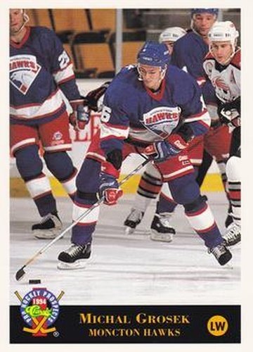 #9 Michal Grosek - Moncton Hawks - 1994 Classic Pro Hockey Prospects Hockey