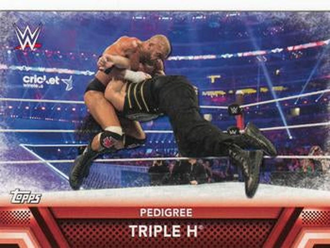 #F-9 Triple H - 2017 Topps WWE Then Now Forever - Finishers and Signature Moves Wrestling