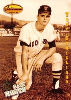 #137 Tony Conigliaro - Boston Red Sox - 1994 Ted Williams Baseball