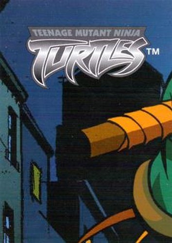 #105 Puzzle C Piece 3 - 2003 Fleer Teenage Mutant Ninja Turtles