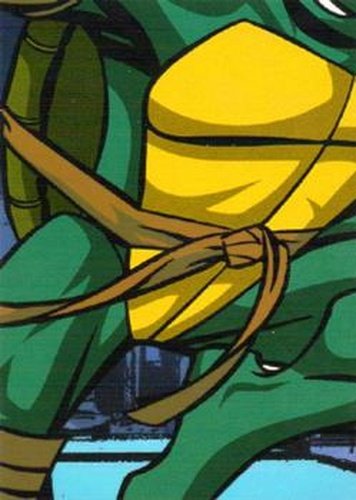 #107 Puzzle C Piece 5 - 2003 Fleer Teenage Mutant Ninja Turtles