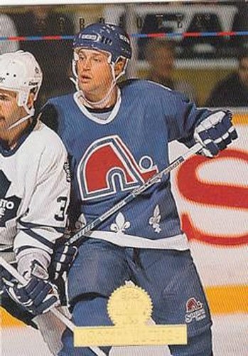 #108 Scott Young - Quebec Nordiques - 1994-95 Leaf Hockey