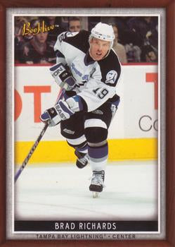 #10 Brad Richards - Tampa Bay Lightning - 2006-07 Upper Deck Beehive Hockey