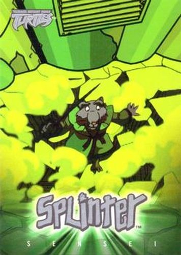 #10 Character Overview - 2003 Fleer Teenage Mutant Ninja Turtles