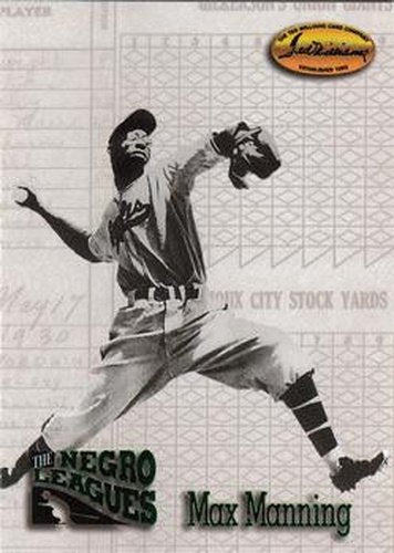 #111 Max Manning - Newark Eagles - 1993 Ted Williams Baseball