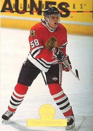 #112 Ivan Droppa - Chicago Blackhawks - 1994-95 Leaf Hockey