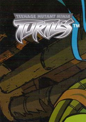 #114 Puzzle D Piece 3 - 2003 Fleer Teenage Mutant Ninja Turtles