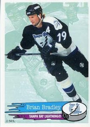#124 Brian Bradley - Tampa Bay Lightning - 1995-96 Panini Hockey Stickers
