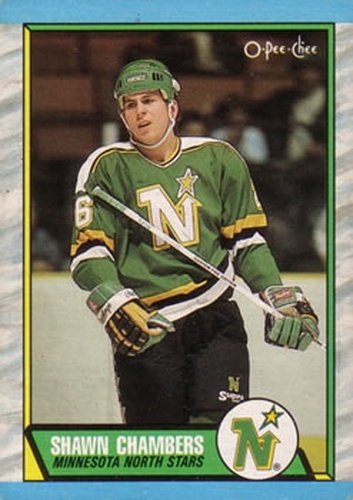 #142 Shawn Chambers - Minnesota North Stars - 1989-90 O-Pee-Chee Hockey