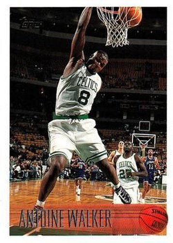 #146 Antoine Walker - Boston Celtics - 1996-97 Topps Basketball